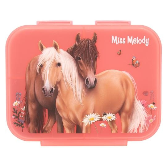 Miss Melody Lunchdoos BLOEMEN ( 0412895 ) in de groep SPEELGOED, KINDER- & BABYPRODUCTEN / Eten & Drinken / Kinderservies bij TP E-commerce Nordic AB (D15601)