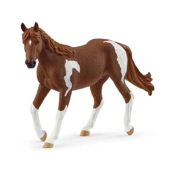 Schleich Paint Horse merrie - (14901) in de groep SPEELGOED, KINDER- & BABYPRODUCTEN / Speelgoed / Figuren, Miniaturen & accessoires bij TP E-commerce Nordic AB (D15653)
