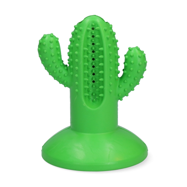 AFP Dental Cactus Groot Groen 15cm - (AFPH04198) in de groep HUISHOUDEN & TUIN / Huisdieraccessoires / Hond bij TP E-commerce Nordic AB (D16824)