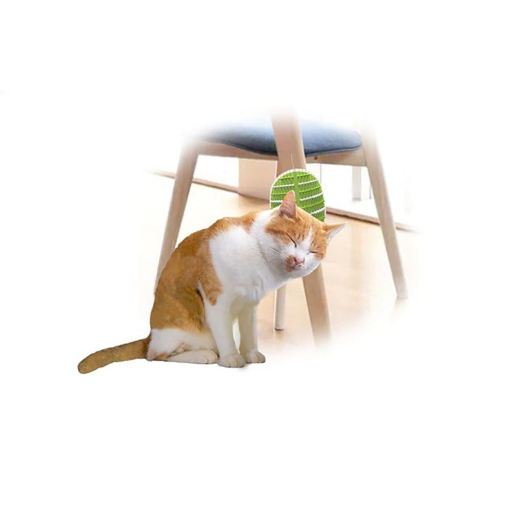AFP All For Paws - Groomer 2 In 1 20,3X11X2,2Cm - (781.1025) in de groep HUISHOUDEN & TUIN / Huisdieraccessoires / Kat bij TP E-commerce Nordic AB (D17139)