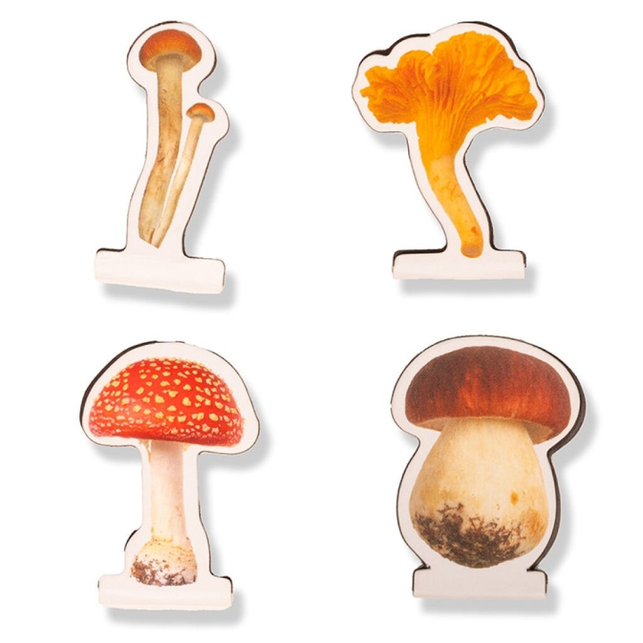Kikkerland Magnetische boekenleggers paddenstoel - 2,75 cm x 3,5 cm x 0,25 cm in de groep SPORT, VRIJE TIJD & HOBBY / Leuke dingen / Handige spullen bij TP E-commerce Nordic AB (D17603)