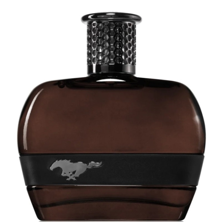 Ford Mustang Black For Men Edt 100ml in de groep BEAUTY & HEALTH / Geuren & Parfum / Parfum / Parfum voor hem bij TP E-commerce Nordic AB (D18200)