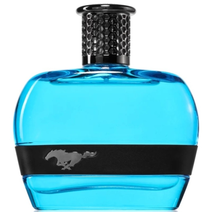 Ford Mustang Blue For Men Edt 100ml in de groep BEAUTY & HEALTH / Geuren & Parfum / Parfum / Parfum voor hem bij TP E-commerce Nordic AB (D18202)