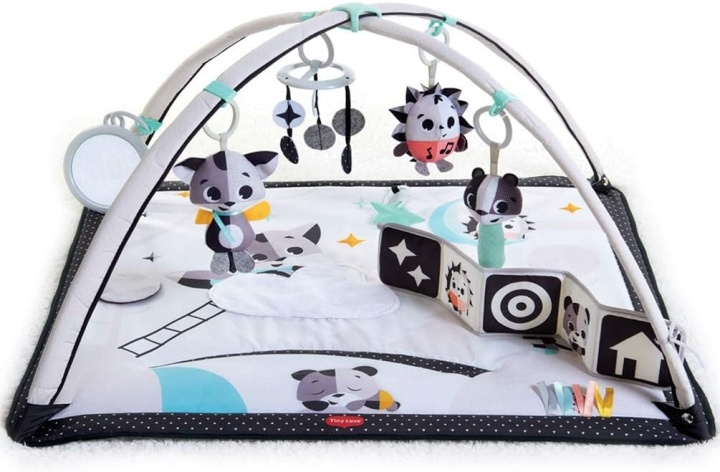 Tiny Love Magische verhalen van Gymini - (3333120594) in de groep SPEELGOED, KINDER- & BABYPRODUCTEN / Babyspeelgoed / Activiteitenspeelgoed bij TP E-commerce Nordic AB (D19584)