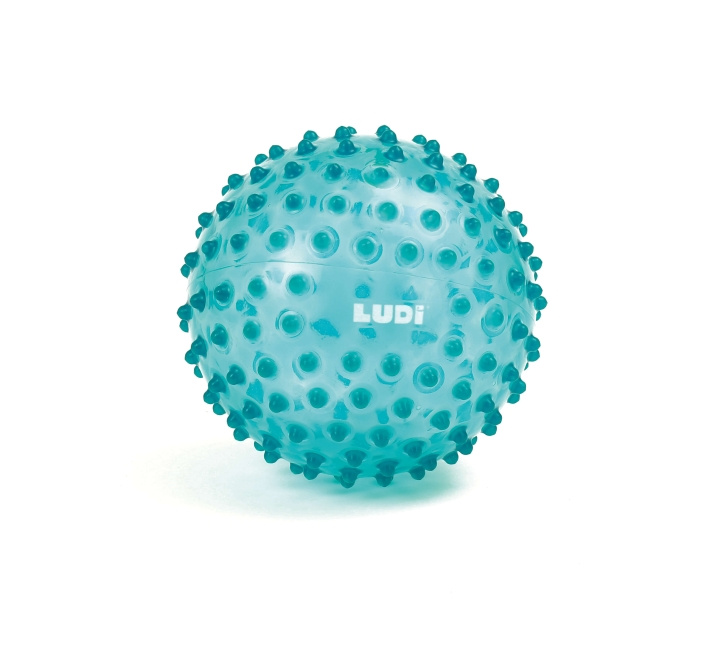 LUDI Zintuigenbal - Blauw - (LU30114) in de groep SPEELGOED, KINDER- & BABYPRODUCTEN / Buitenspeelgoed bij TP E-commerce Nordic AB (D19611)