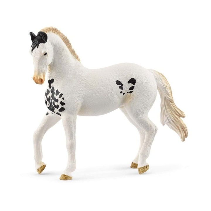 Schleich Marwari Stallion - (14898) in de groep SPEELGOED, KINDER- & BABYPRODUCTEN / Speelgoed / Figuren, Miniaturen & accessoires bij TP E-commerce Nordic AB (D21523)