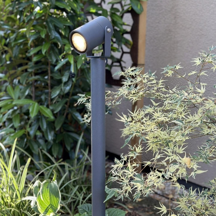 LightsOn Luna 65 Pollare/Trädgårdsspot 350 lm 5W 35° Grå in de groep HUISHOUDEN & TUIN / Elektriciteit & Verlichting / Buitenverlichting bij TP E-commerce Nordic AB (D21642)