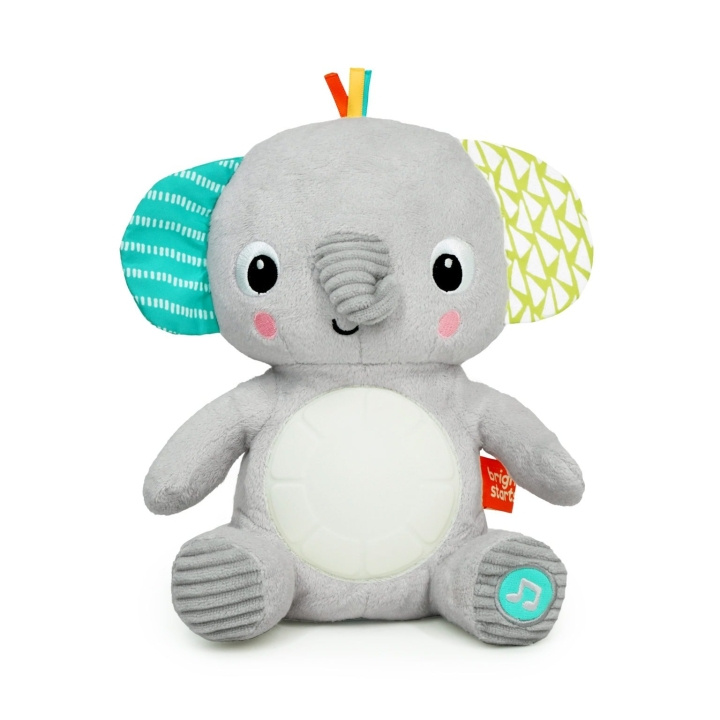 Bright Starts Knuffel-a-bye Baby Muzikaal Oplichtend Speelgoed (12498) in de groep SPEELGOED, KINDER- & BABYPRODUCTEN / Babyspeelgoed / Knuffels bij TP E-commerce Nordic AB (D21956)
