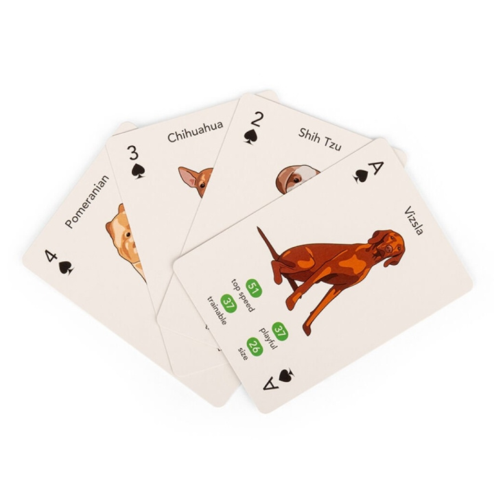 Kikkerland Paws & Play Speelkaarten - (GG274) in de groep SPEELGOED, KINDER- & BABYPRODUCTEN / Spelletje / Kaartspel bij TP E-commerce Nordic AB (D22470)