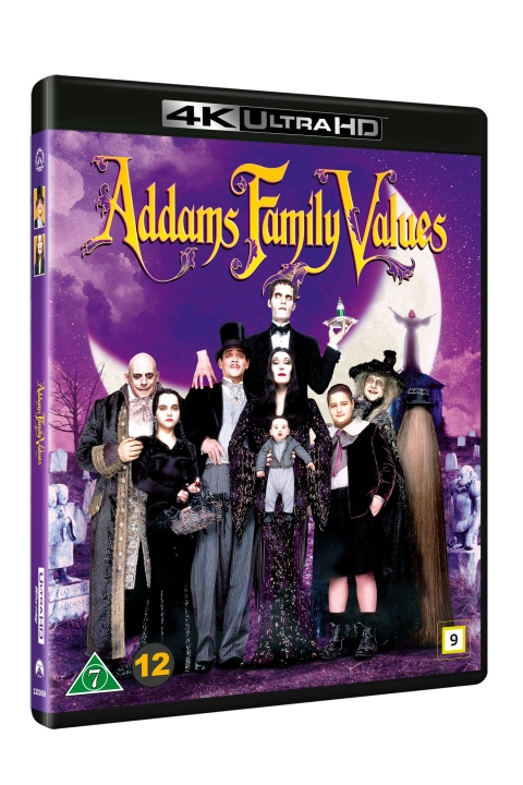 ADDAMS FAMILY VALUES in de groep HOME ELECTRONICS / Audio & Beeld / TV & Accessoires / Films / Blu-ray bij TP E-commerce Nordic AB (D22635)