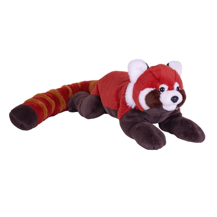 Wild Republic Gosedjur Earthkins Kattbjörn in de groep SPEELGOED, KINDER- & BABYPRODUCTEN / Babyspeelgoed / Knuffels bij TP E-commerce Nordic AB (D23120)