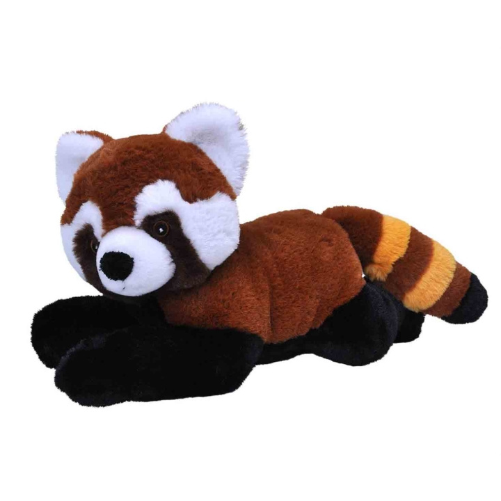 Wild Republic Gosedjur Ecokins 30 cm Kattbjörn in de groep SPEELGOED, KINDER- & BABYPRODUCTEN / Babyspeelgoed / Knuffels bij TP E-commerce Nordic AB (D23148)