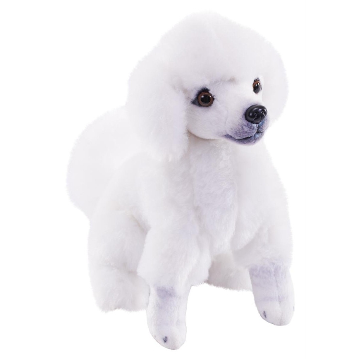 Wild Republic Hund Rescue Dogs Rescue Poodle in de groep SPEELGOED, KINDER- & BABYPRODUCTEN / Babyspeelgoed / Knuffels bij TP E-commerce Nordic AB (D23189)