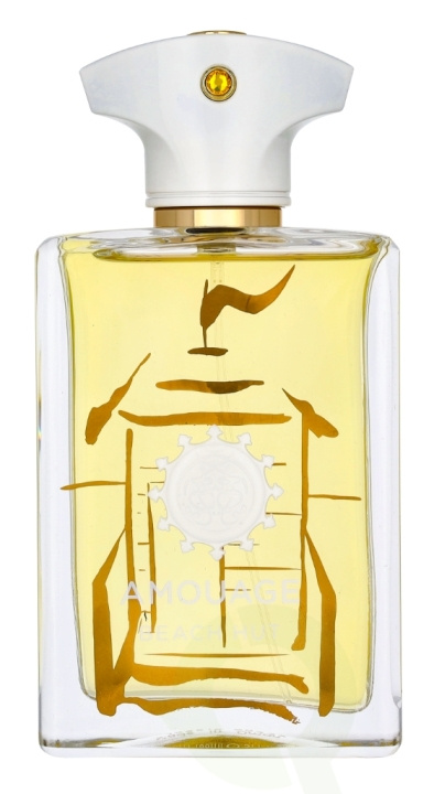 Amouage Beach Hut Man Edp Spray 100 ml in de groep BEAUTY & HEALTH / Geuren & Parfum / Parfum / Parfum voor hem bij TP E-commerce Nordic AB (D23498)