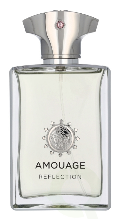 Amouage Reflection Man Edp Spray 100 ml in de groep BEAUTY & HEALTH / Geuren & Parfum / Parfum / Parfum voor hem bij TP E-commerce Nordic AB (D23501)