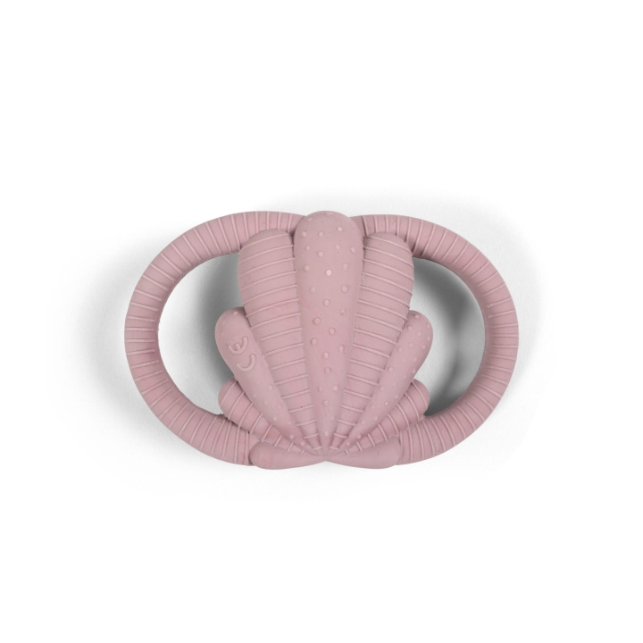 Filibabba Speen - Zeeschelp Blush - (FI-01675) in de groep SPEELGOED, KINDER- & BABYPRODUCTEN / Babygadgets / Fopspenen & Bijtringen bij TP E-commerce Nordic AB (D24339)