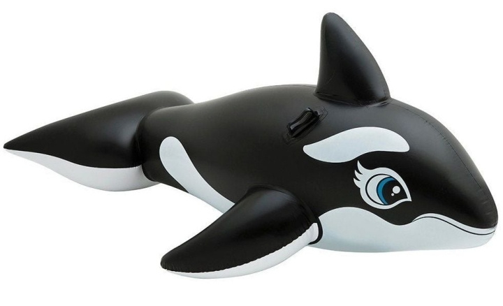 INTEX Walvis berijden (58561) in de groep SPEELGOED, KINDER- & BABYPRODUCTEN / Buitenspeelgoed / Badspeelgoed bij TP E-commerce Nordic AB (D24519)