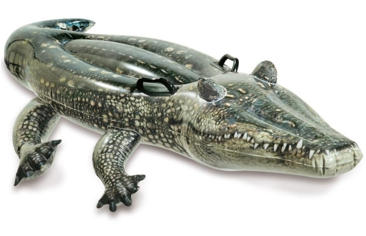 INTEX Realistic Gator Ride-On (657551) in de groep SPEELGOED, KINDER- & BABYPRODUCTEN / Buitenspeelgoed / Badspeelgoed bij TP E-commerce Nordic AB (D24520)