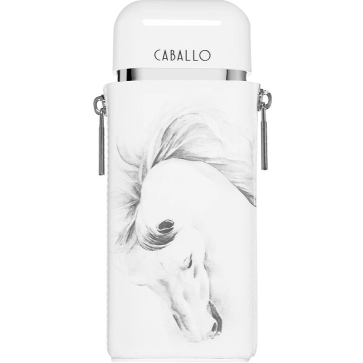 Armaf Caballo Men Edp 100ml in de groep BEAUTY & HEALTH / Geuren & Parfum / Parfum / Parfum voor hem bij TP E-commerce Nordic AB (D25144)