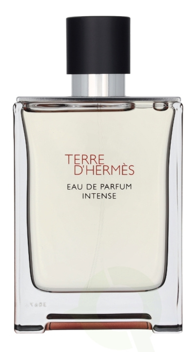 Hermes Terre D\'Hermes Eau Intense Parfum Spray 100 ml in de groep BEAUTY & HEALTH / Geuren & Parfum / Parfum / Parfum voor hem bij TP E-commerce Nordic AB (D25484)