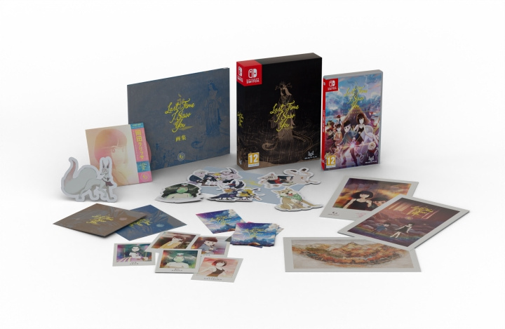 Last Time I Saw You (Special Edition) (Switch) in de groep HOME ELECTRONICS / Spelconsoles en accessoires / Nintendo Switch / Games bij TP E-commerce Nordic AB (D27094)