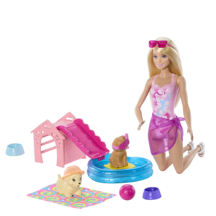 Barbie Puppy Zwembadfeest Aloha Blond (JBF35) in de groep SPEELGOED, KINDER- & BABYPRODUCTEN / Speelgoed / Docks & Accessoires bij TP E-commerce Nordic AB (D27848)