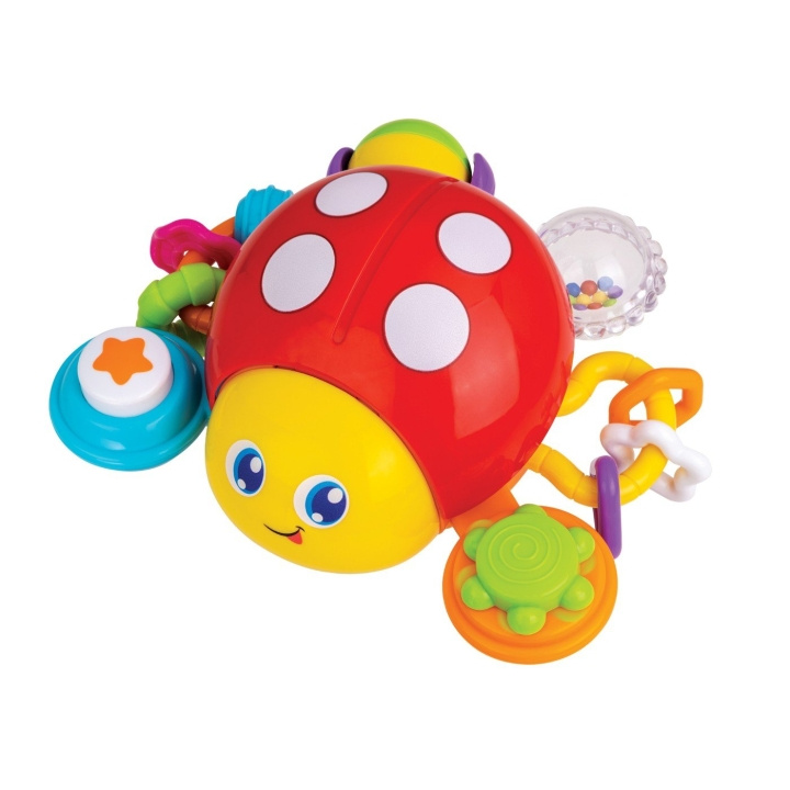 WINFUN Press \'N Go Activity Lieveheersbeestje (000720) in de groep SPEELGOED, KINDER- & BABYPRODUCTEN / Babyspeelgoed / Activiteitenspeelgoed bij TP E-commerce Nordic AB (D30024)