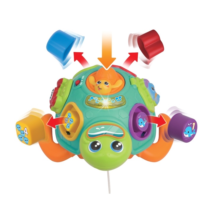 WINFUN Pull Along Sorteren en leren schildpad (240301-NL) in de groep SPEELGOED, KINDER- & BABYPRODUCTEN / Babyspeelgoed / Activiteitenspeelgoed bij TP E-commerce Nordic AB (D30029)