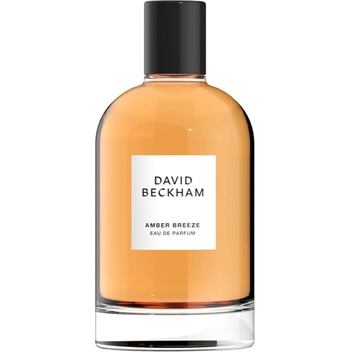 David Beckham Amber Breeze Edp 50ml in de groep BEAUTY & HEALTH / Geuren & Parfum / Parfum / Parfum voor hem bij TP E-commerce Nordic AB (D30638)