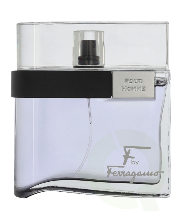 Ferragamo F By Ferragamo Black Edt Spray 100 ml in de groep BEAUTY & HEALTH / Geuren & Parfum / Parfum bij TP E-commerce Nordic AB (D32947)