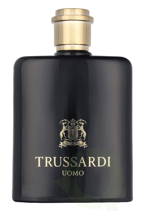 Trussardi Uomo 2011 Edt Spray 100 ml in de groep BEAUTY & HEALTH / Geuren & Parfum / Parfum bij TP E-commerce Nordic AB (D33162)