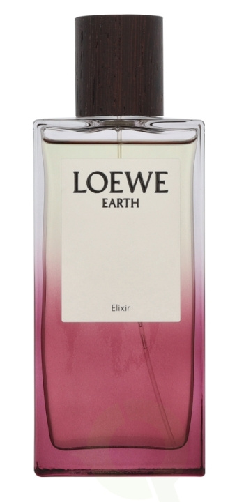 Loewe Earth Elixir Edp Spray 100 ml in de groep BEAUTY & HEALTH / Geuren & Parfum / Parfum bij TP E-commerce Nordic AB (D34038)