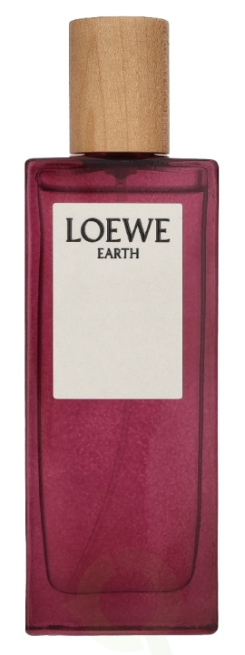 Loewe Earth Edp Spray 50 ml in de groep BEAUTY & HEALTH / Geuren & Parfum / Parfum bij TP E-commerce Nordic AB (D34049)
