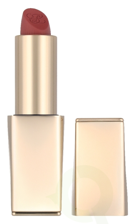 Estee Lauder Pure Color Matte Lipstick 3.5 g #828 in de groep BEAUTY & HEALTH / Makeup / Lippen / Lippenstift bij TP E-commerce Nordic AB (D35388)