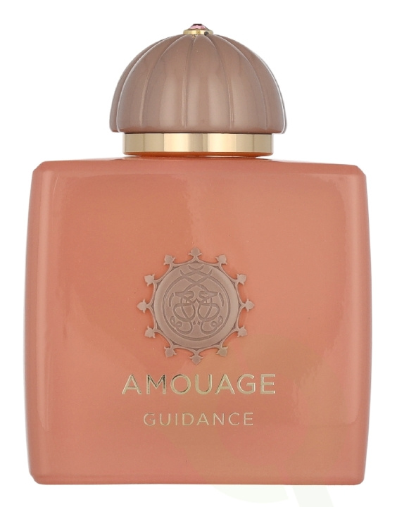 Amouage Guidance Edp Spray 100 ml in de groep BEAUTY & HEALTH / Geuren & Parfum / Parfum / Parfum voor haar bij TP E-commerce Nordic AB (D35461)