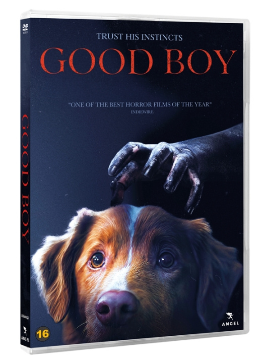 GOOD BOY (DVD) in de groep HOME ELECTRONICS / Audio & Beeld / TV & Accessoires / Films / DVD bij TP E-commerce Nordic AB (D38107)