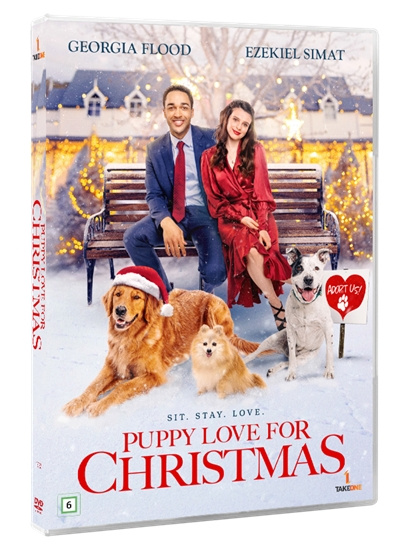 PUPPY LOVE FOR CHRISTMAS (DVD) in de groep HOME ELECTRONICS / Audio & Beeld / TV & Accessoires / Films / DVD bij TP E-commerce Nordic AB (D38430)