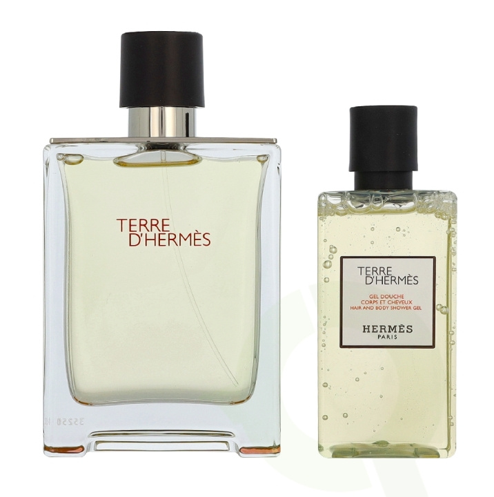 Hermes Terre D\'Hermes Giftset 180 ml Edt Spray 100 ml / Shower Gel 80 ml in de groep BEAUTY & HEALTH / Geuren & Parfum / Parfum / Parfum voor hem bij TP E-commerce Nordic AB (D40955)
