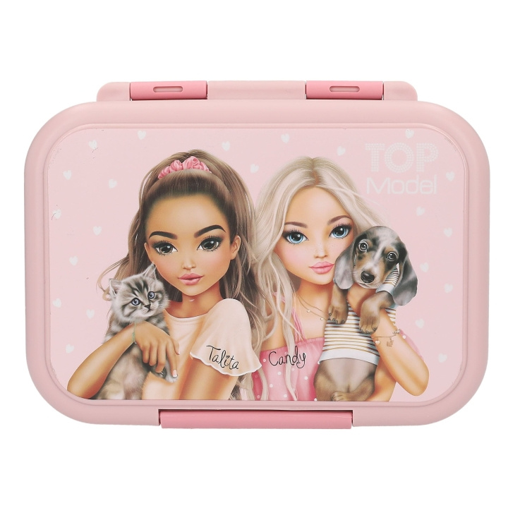 TOPModel TOPModel Lunchbox - Roestvrij staal - Roze in de groep SPEELGOED, KINDER- & BABYPRODUCTEN / Eten & Drinken / Kinderservies bij TP E-commerce Nordic AB (D41379)