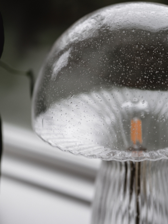Globen Lighting Bordslampa Fungo 30 Special Edition Klar Globen Lighting in de groep HOME ELECTRONICS / Verlichting / Tafellampen bij TP E-commerce Nordic AB (D44301)