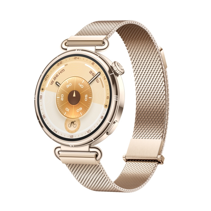 Huawei Watch GT 6 41mm - Gold in de groep SPORT, VRIJE TIJD & HOBBY / Smartwatch & Activiteitsmeters / Smartwatches bij TP E-commerce Nordic AB (D44363)