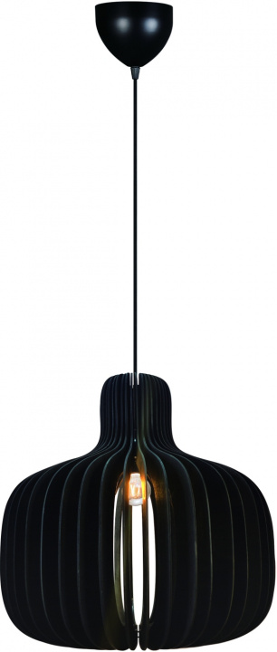 Nordlux Taklampa Hazo 43 Svart Nordlux in de groep HOME ELECTRONICS / Verlichting / Plafondverlichting bij TP E-commerce Nordic AB (D44446)