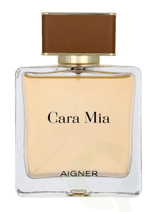 Etienne Aigner Cara Mia Edp Spray 100 ml in de groep BEAUTY & HEALTH / Geuren & Parfum / Parfum / Parfum voor haar bij TP E-commerce Nordic AB (D45080)