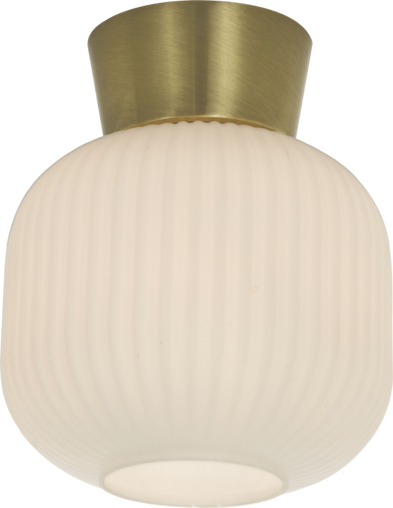 Aneta Plafond VANJA 16912-25 vit/matt mäss Aneta in de groep HOME ELECTRONICS / Verlichting / Plafondverlichting bij TP E-commerce Nordic AB (D45553)