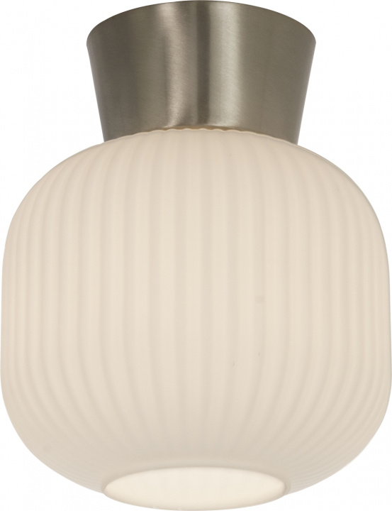 Aneta Plafond VANJA 16912-90 vit/borst stål Aneta in de groep HOME ELECTRONICS / Verlichting / Plafondverlichting bij TP E-commerce Nordic AB (D45637)