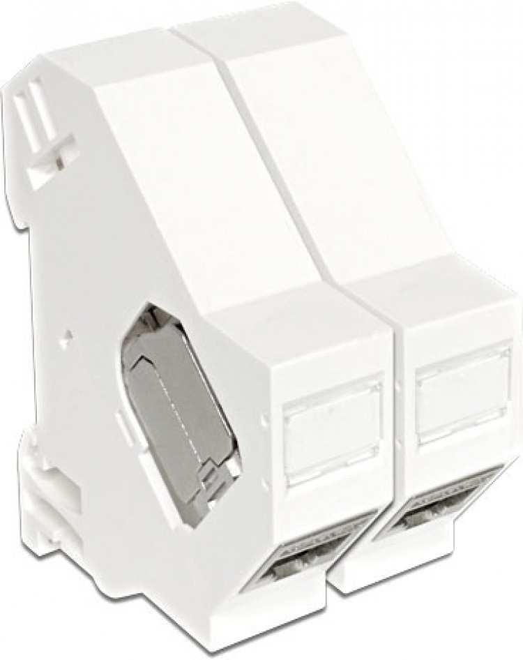 DeLOCK Keystone modulhållare för montering på DIN-skena, vit