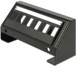 DeLOCK Keystone panel, 6-portar, 45° vinkel på portarna, metall, sva