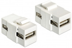 DeLOCK Keystone modul, USB 2.o Typ A ho - USB Typ A ho, vit
