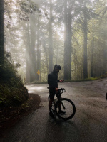 F-Secure TOTAL (SAFE+Freedome VPN) 1år 15 enh Full