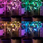 Philips Hue Lily White/Color Utbyggnad